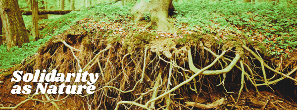 What is Solidarity - Part 2: Solidarity as Nature